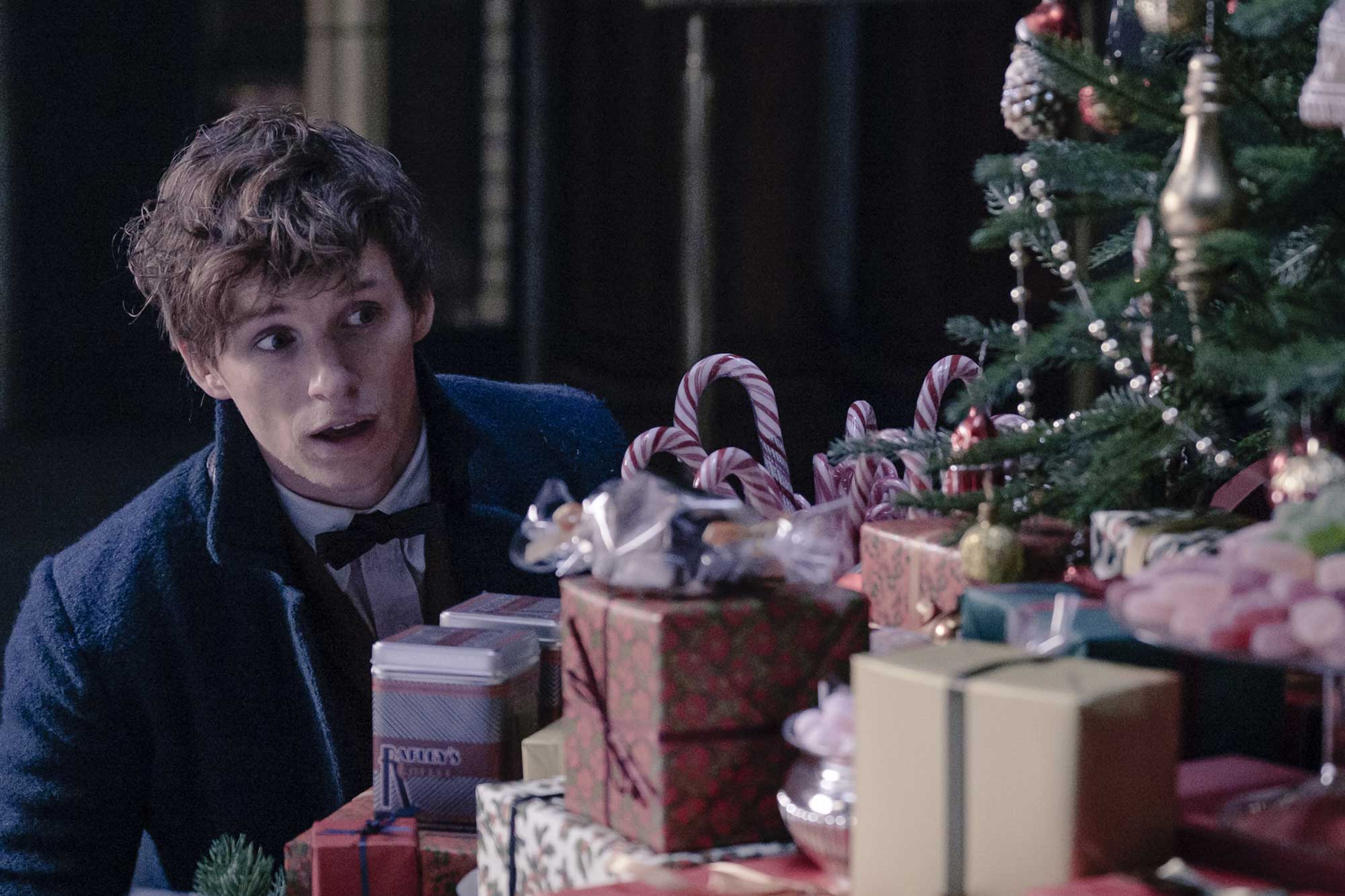 素材① (2).jpg?w=1200&h=630